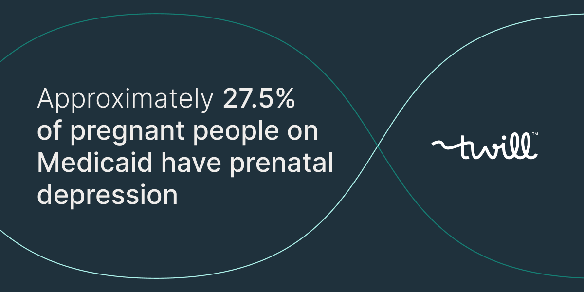 Advancing Maternal Health Equity: Improving the Maternal and Behavioral Health Journey for Medicaid Members